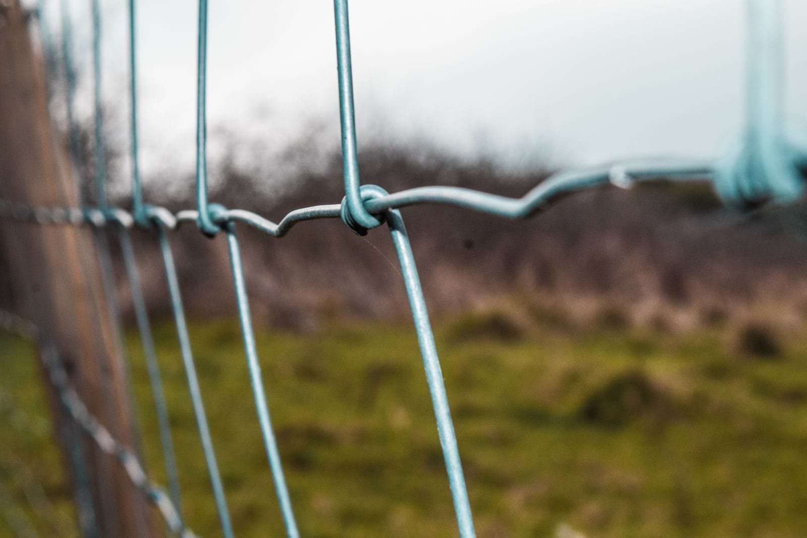 Muro, cerca e divisa: como resolver a disputa de limites entre imóveis 1 A detailed look at a weathered chain link fence in a grassy outdoor setting, emphasizing security and protection.