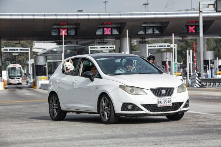 A white car driving through a toll booth with a dog leaning out the window.