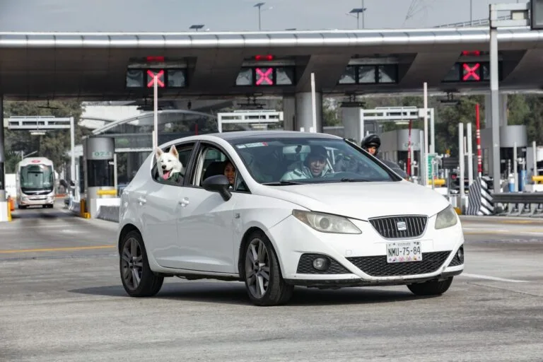 A white car driving through a toll booth with a dog leaning out the window.