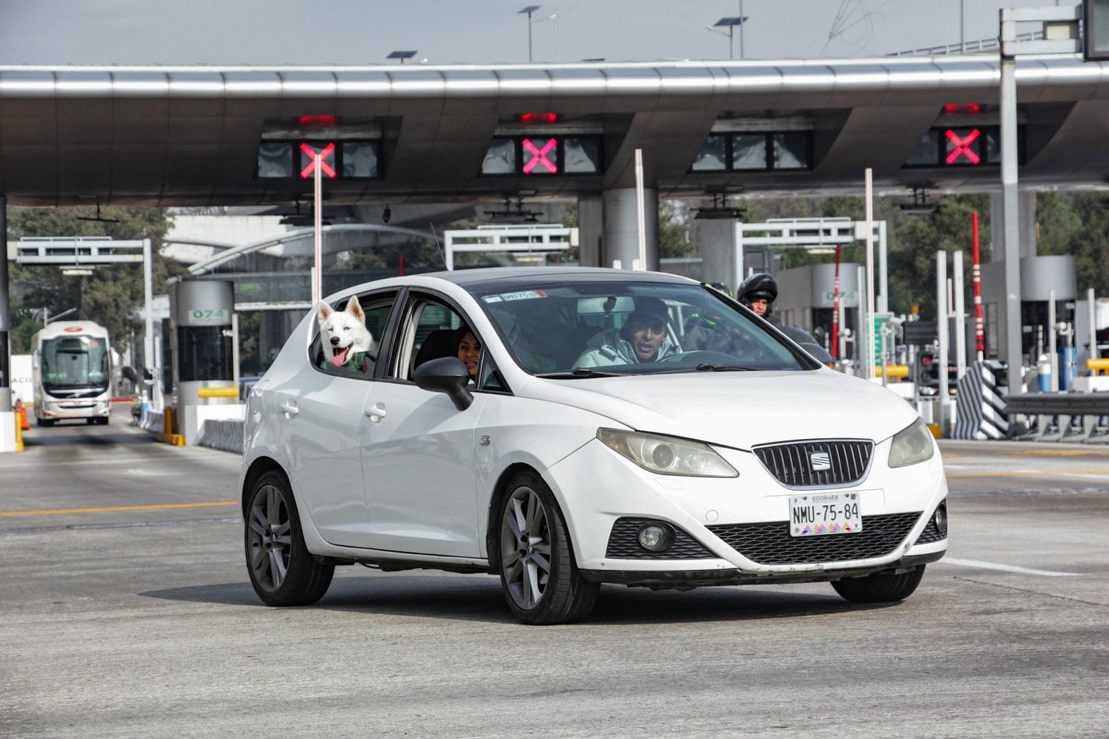 A white car driving through a toll booth with a dog leaning out the window.