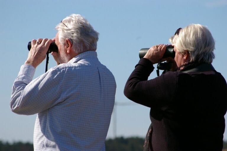 binoculars, curious, couple, older, hobby, focus, binoculars, binoculars, binoculars, bino