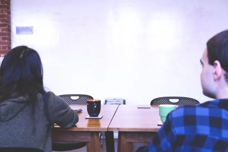 whiteboard, startup, presentation, people, meeting, young, boy, girl, students, studying, 