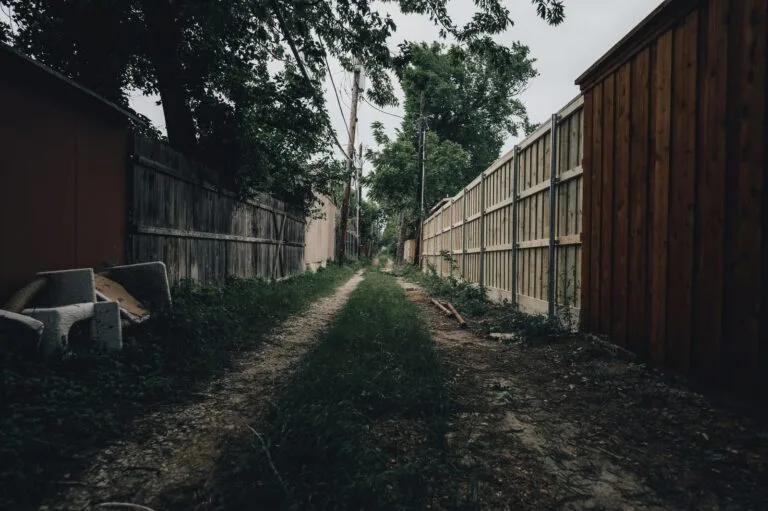 A moody alley lined with wooden fences and trees, featuring overhead power lines and a dirt path.