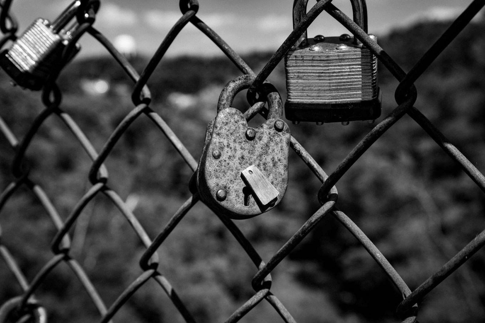 Uso de imagem e dados de funcionarios: limites da empresa no ambiente digital 1 Black and white close-up of rusty padlocks on a fence symbolizing security and love.