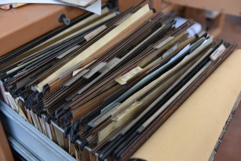 collector, documents, office, folder, work, archive, dossier, notepad, organizer, writing 