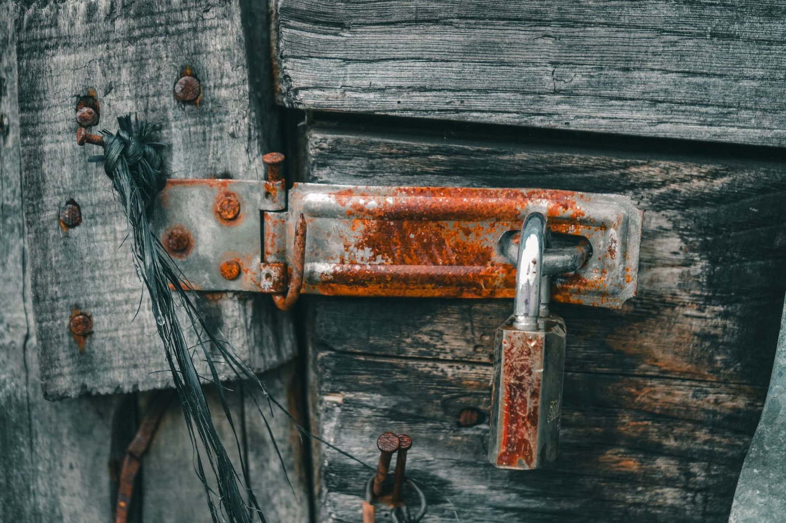 Close-up of a rusty padlock on an old wooden door, showing texture and decay.