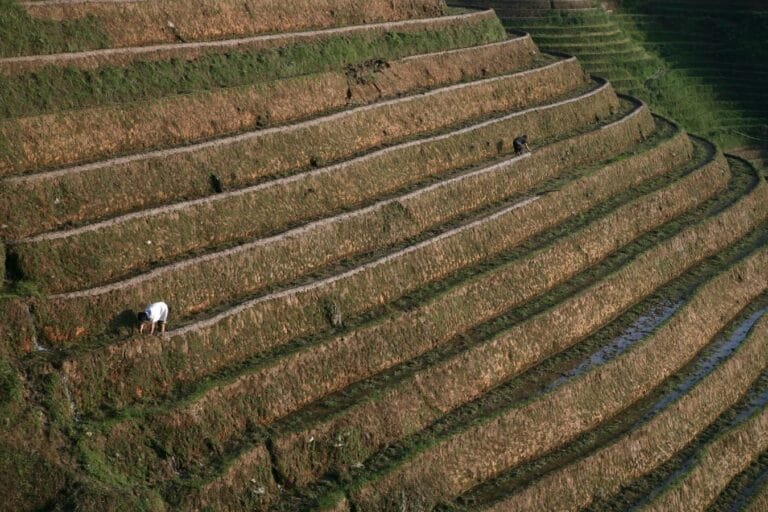 Farmers tending to crops on terraced fields in a rural landscape during the day.