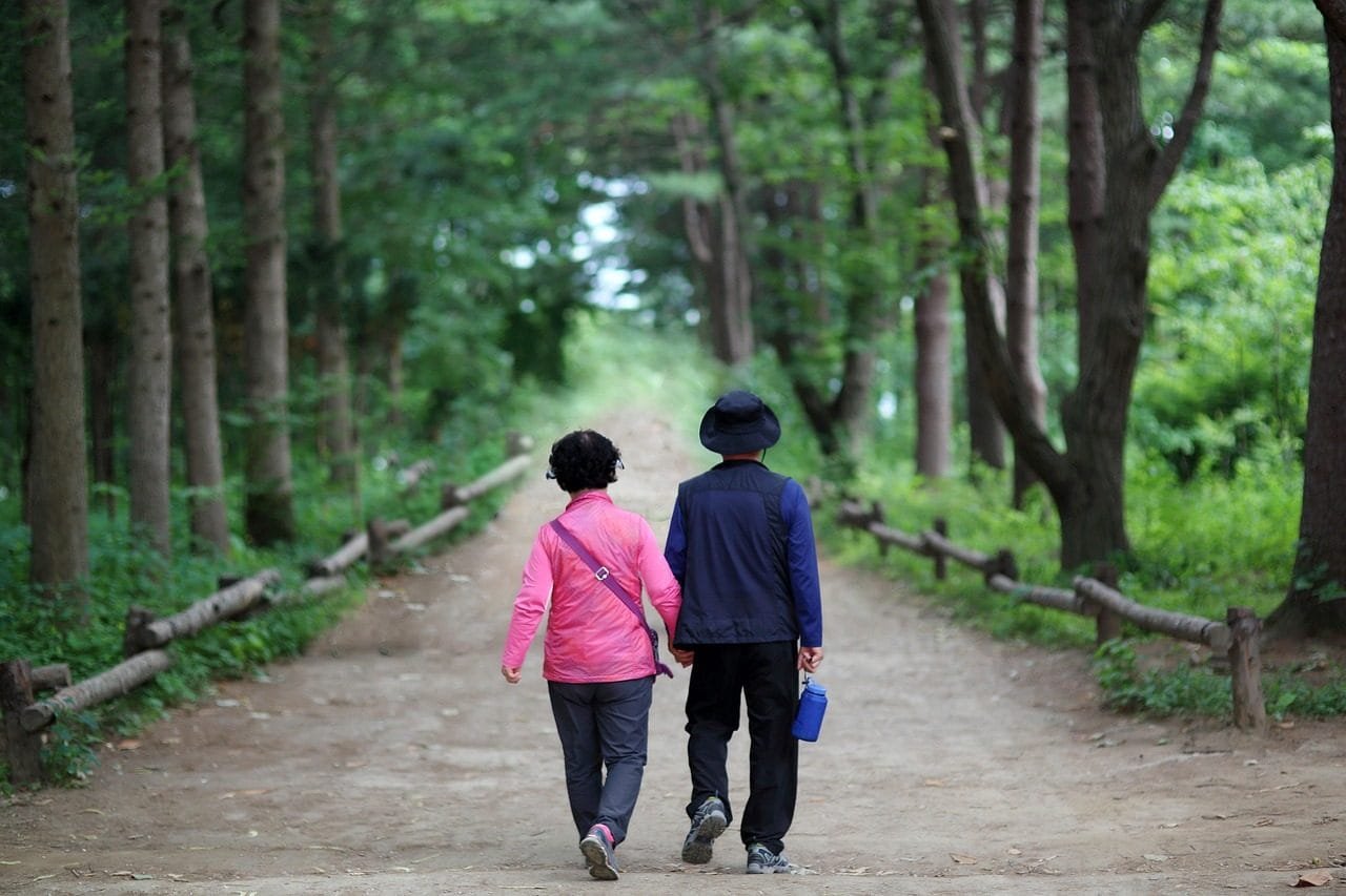 elderly couple, 다정히, hand, nami island, elderly couple, elderly couple, elderly couple, el