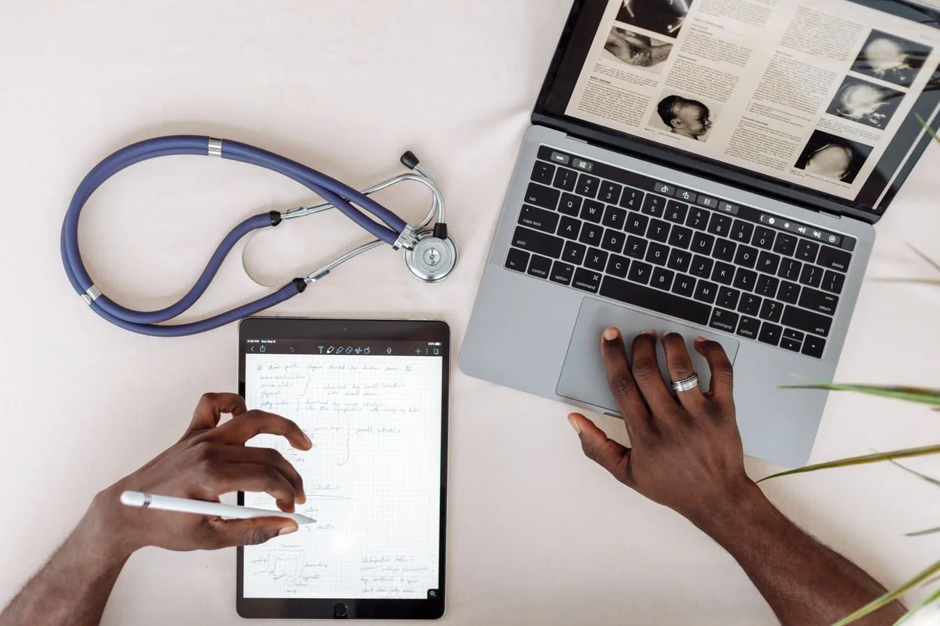Profissional de saúde analisa documentos médicos no Atestmed
